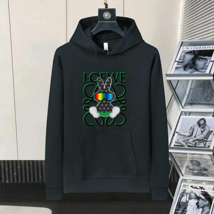 Picture of Loewe Hoodies _SKULoeweM-4XL11Ln324229